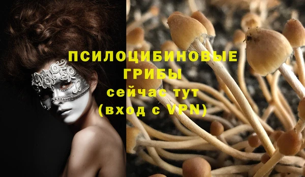 кристаллы Заречный