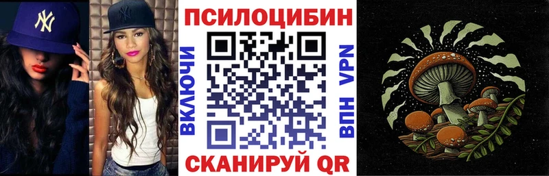 Галлюциногенные грибы Cubensis  наркотики  Каргополь 
