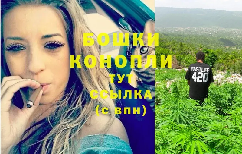 где купить наркоту  сайты даркнета формула  Каннабис Ganja  Каргополь 