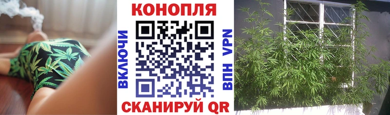 Шишки марихуана семена  маркетплейс клад  Каргополь  закладки 